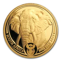 Big Five - Elephant 2019