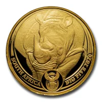 Big Five - Rhino 2020