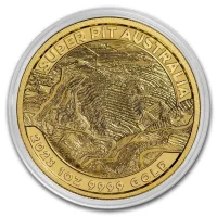 Super Pit Acheter des pièces d'or