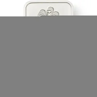 10 grammes Acheter des tablettes de lingots en palladium
