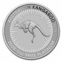 Kangourou Australien Acheter des pièces de platine