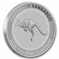 Kangourou Australien Acheter des pièces de platine