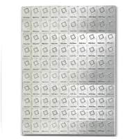 Tablettes d’argent 100 x 1 g Acheter des tablettes d`argent
