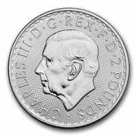 Britannia Acheter des pièces d'argent