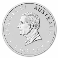 Australian Swan Acheter des pièces d'argent